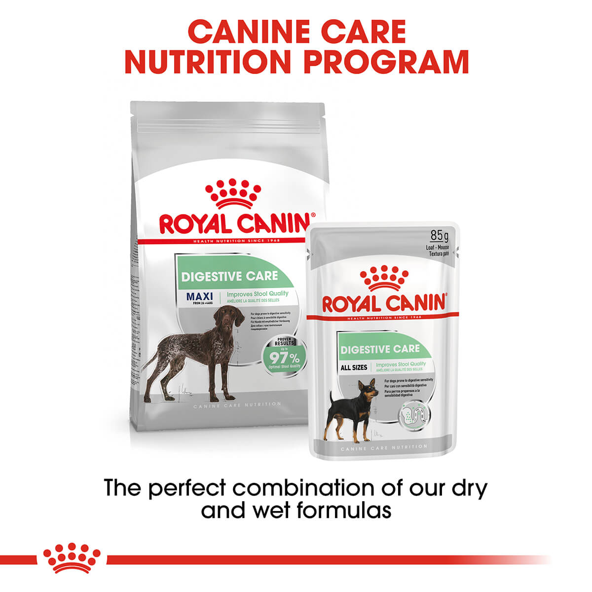 Royal Canin Maxi Digestive Care Adult Dry Dog Food - PetPost Australia