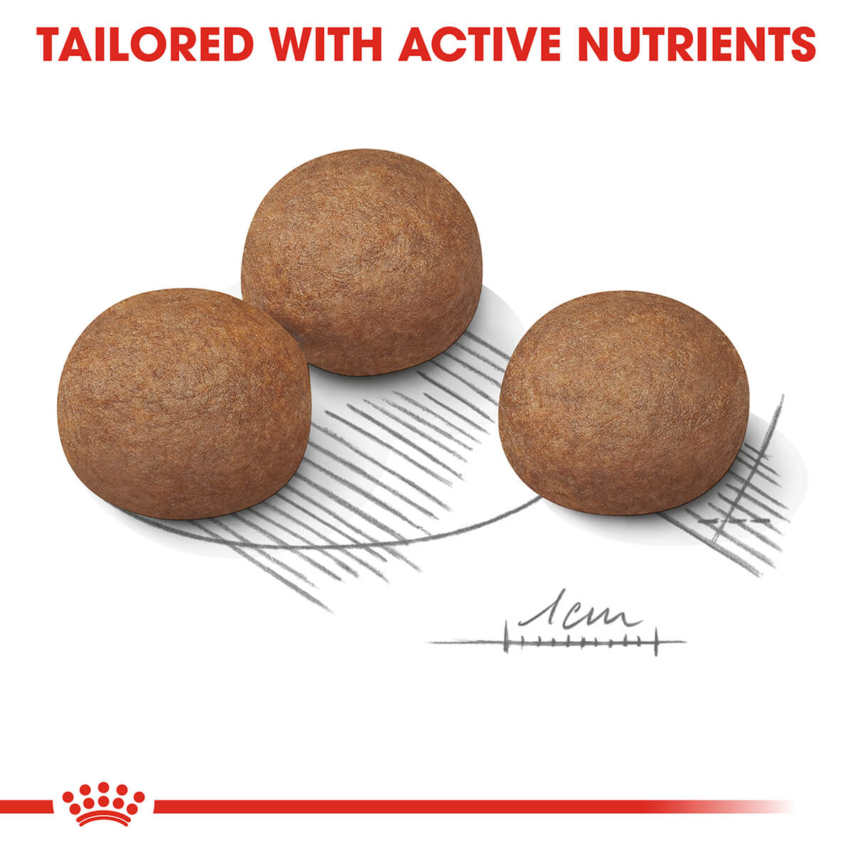 Royal Canin Maxi Digestive Care Adult Dry Dog Food - PetPost Australia