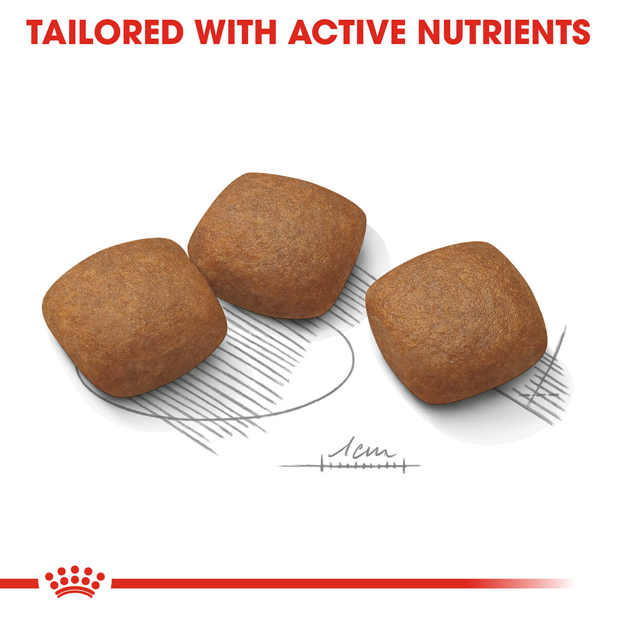 Royal Canin Maxi Joint Care Adult Dry Dog Food - PetPost Australia