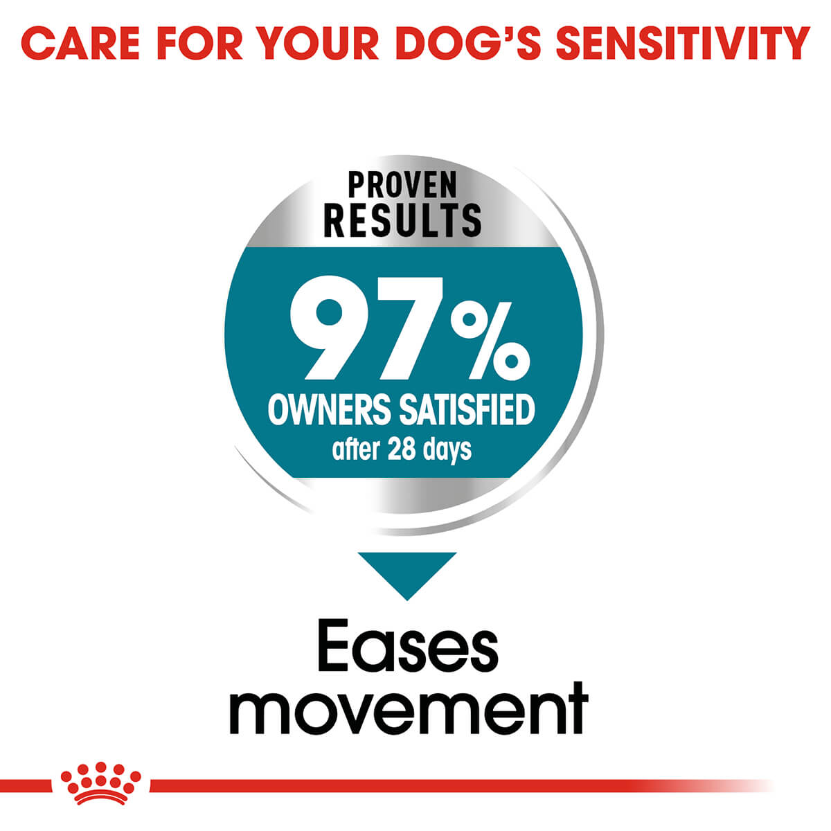 Royal Canin Maxi Joint Care Adult Dry Dog Food - PetPost Australia