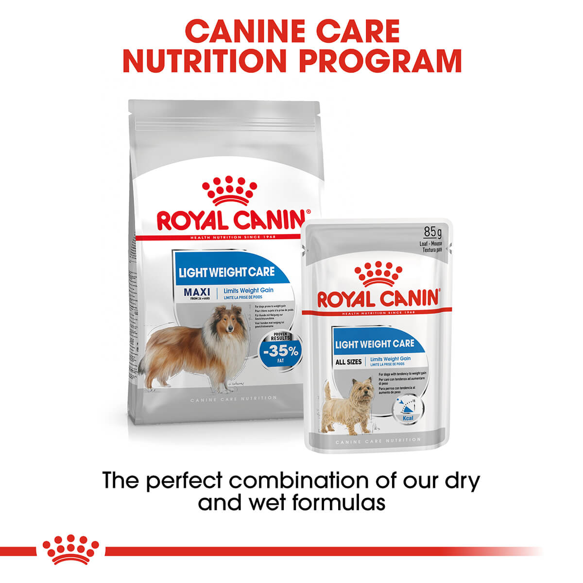 Royal Canin Maxi Light Weight Care Adult Dry Dog Food - PetPost Australia