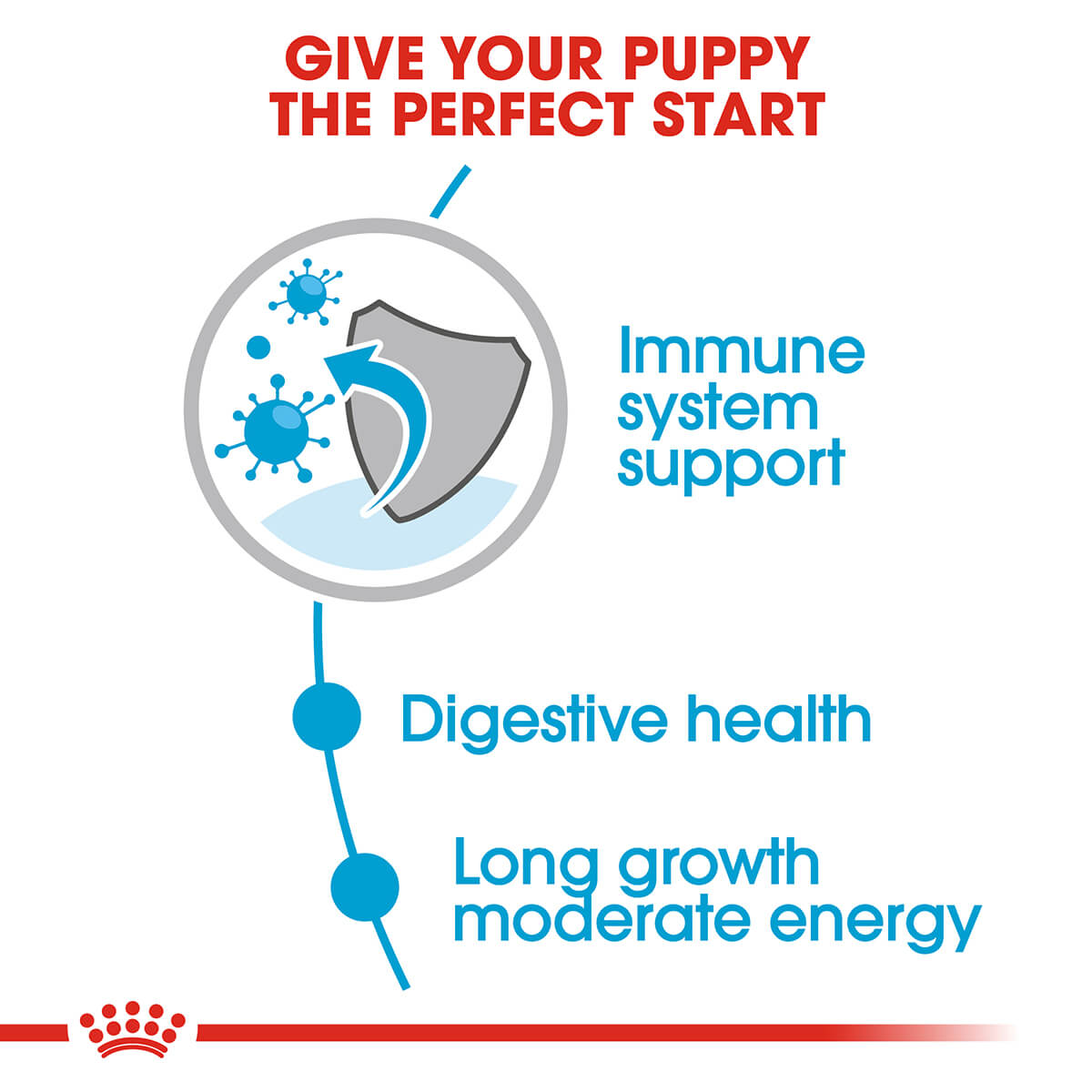 Royal Canin Maxi Puppy Wet Dog Food - PetPost Australia