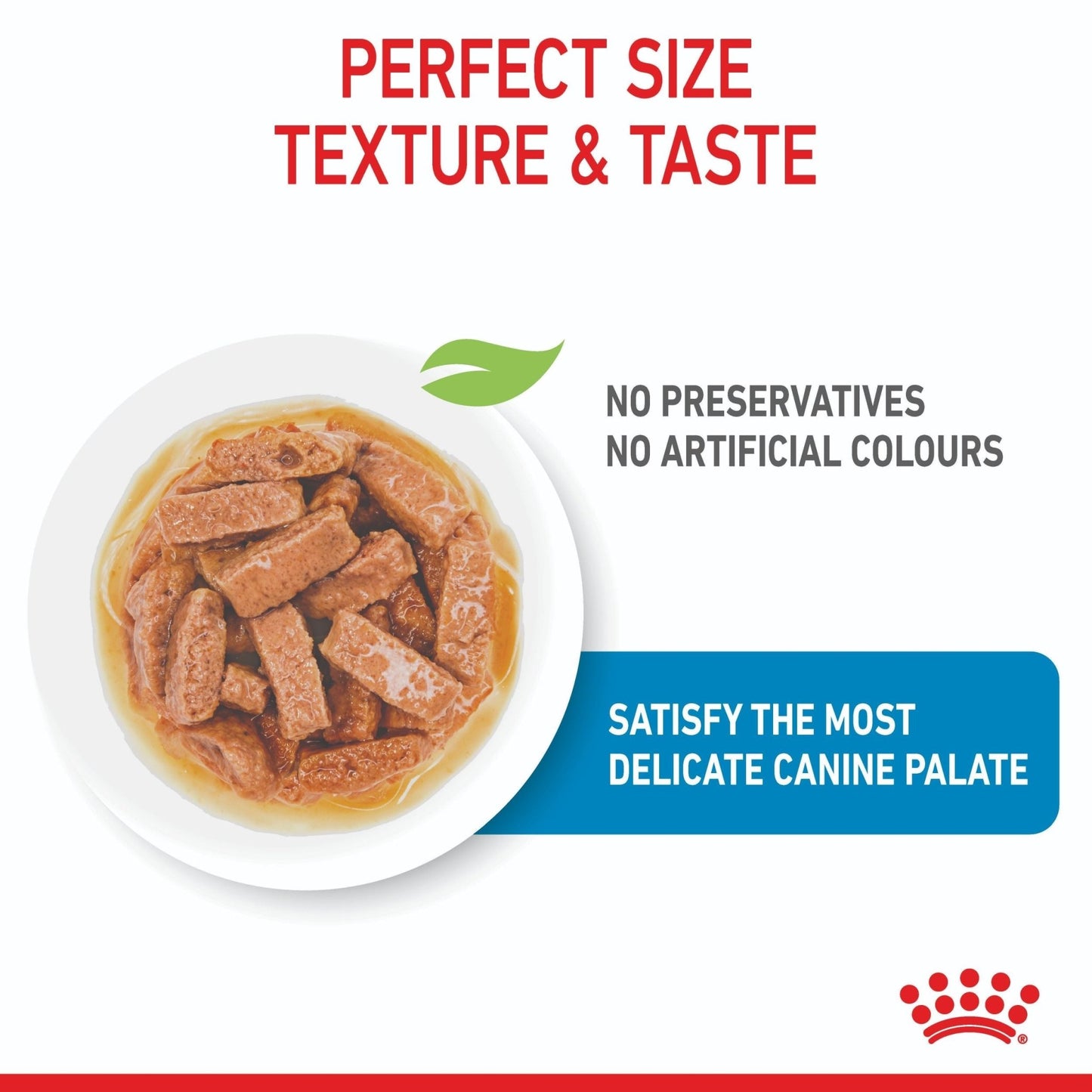 Royal Canin Maxi Puppy Wet Dog Food - PetPost Australia