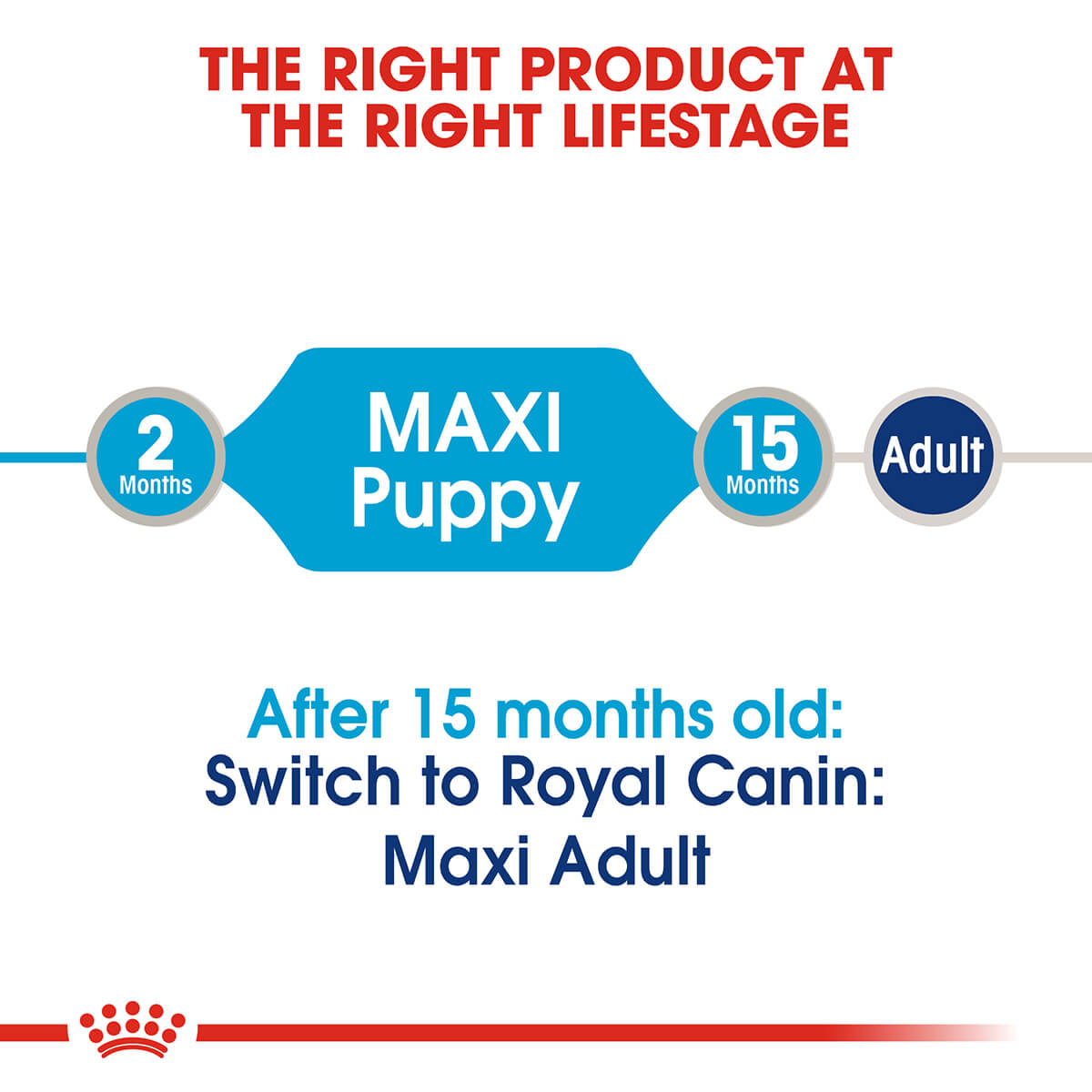 Royal Canin Maxi Puppy Wet Dog Food - PetPost Australia