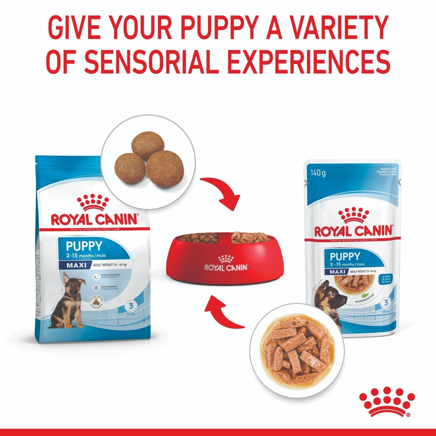 Royal Canin Maxi Puppy Wet Dog Food - PetPost Australia