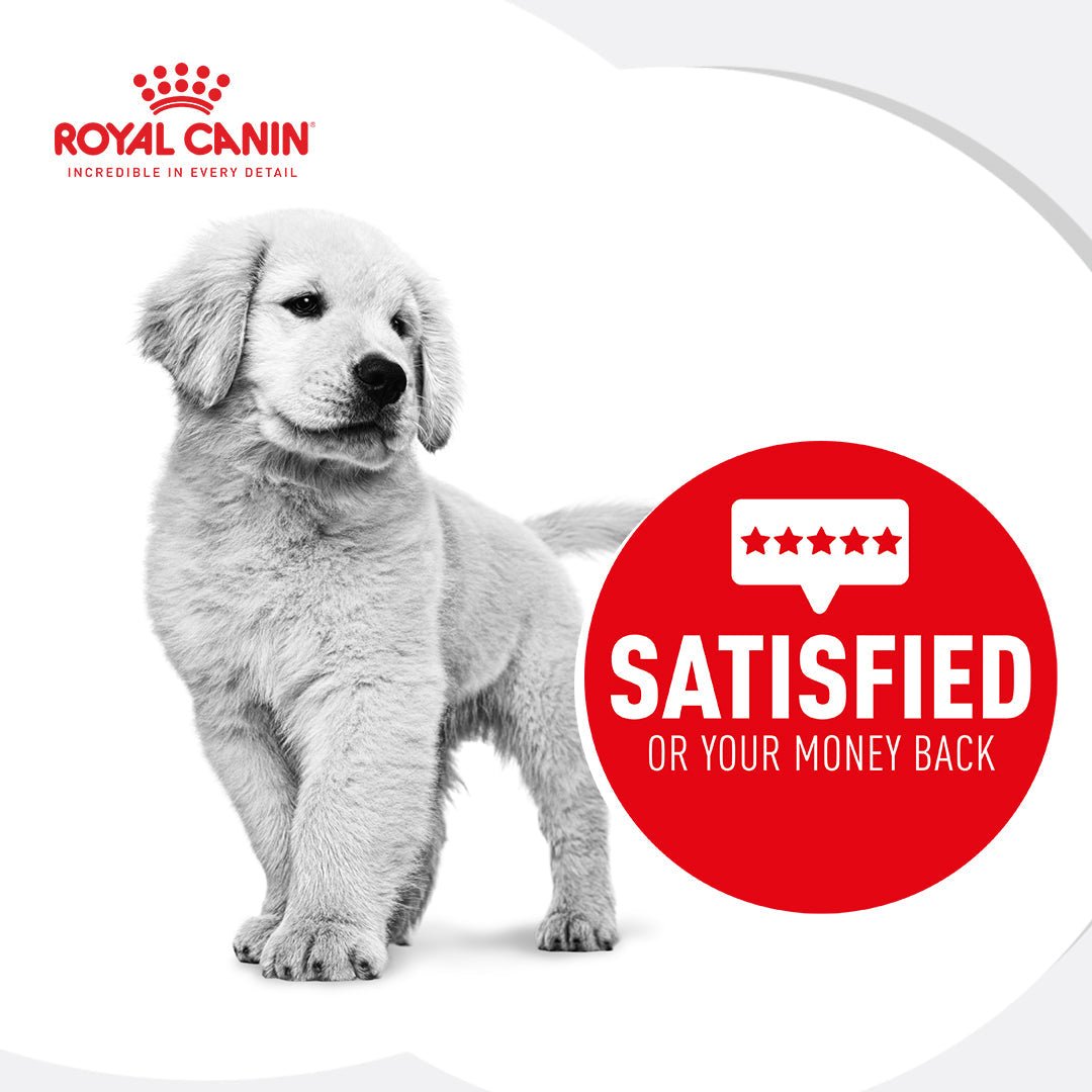 Royal Canin Maxi Puppy Wet Dog Food - PetPost Australia