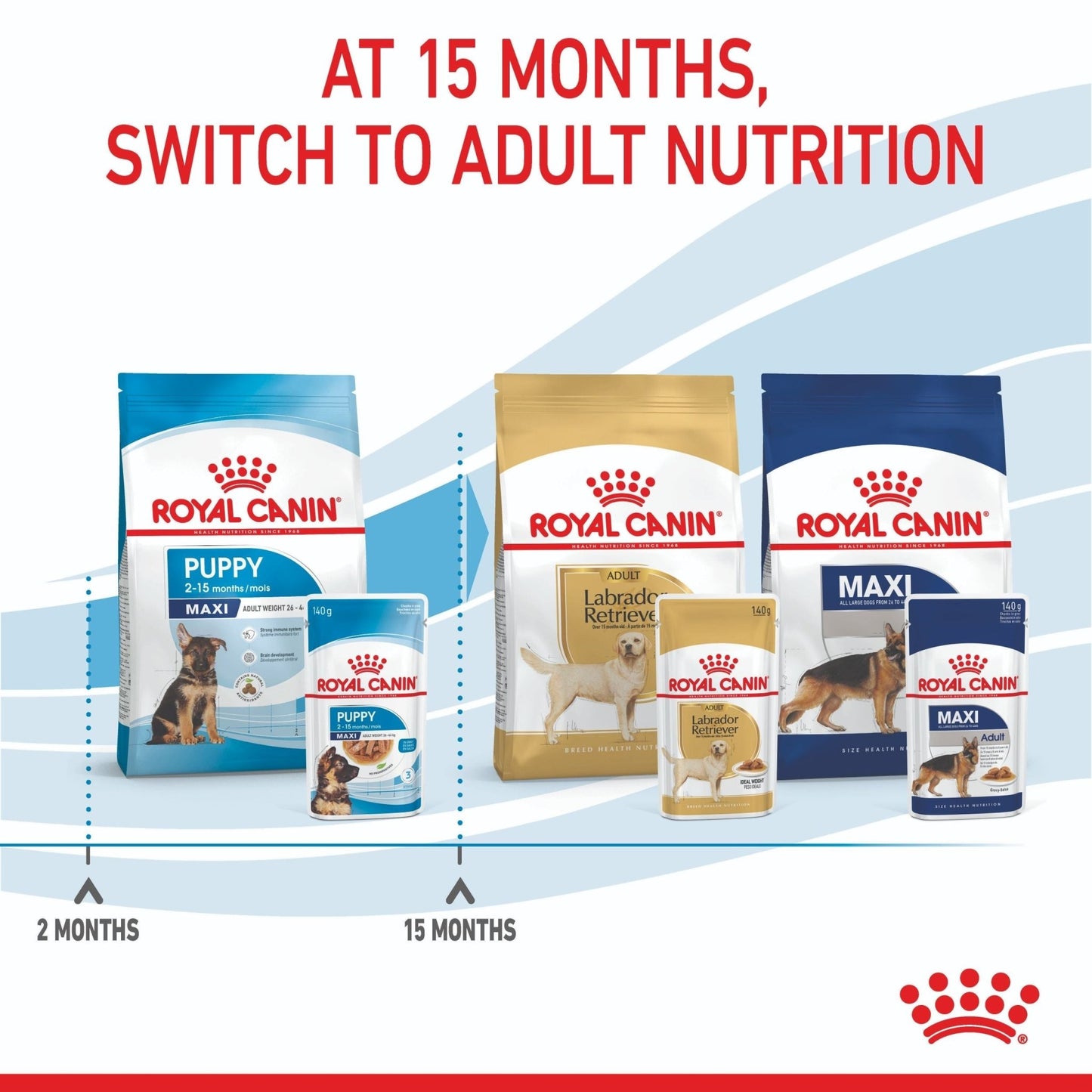 Royal Canin Maxi Puppy Wet Dog Food - PetPost Australia