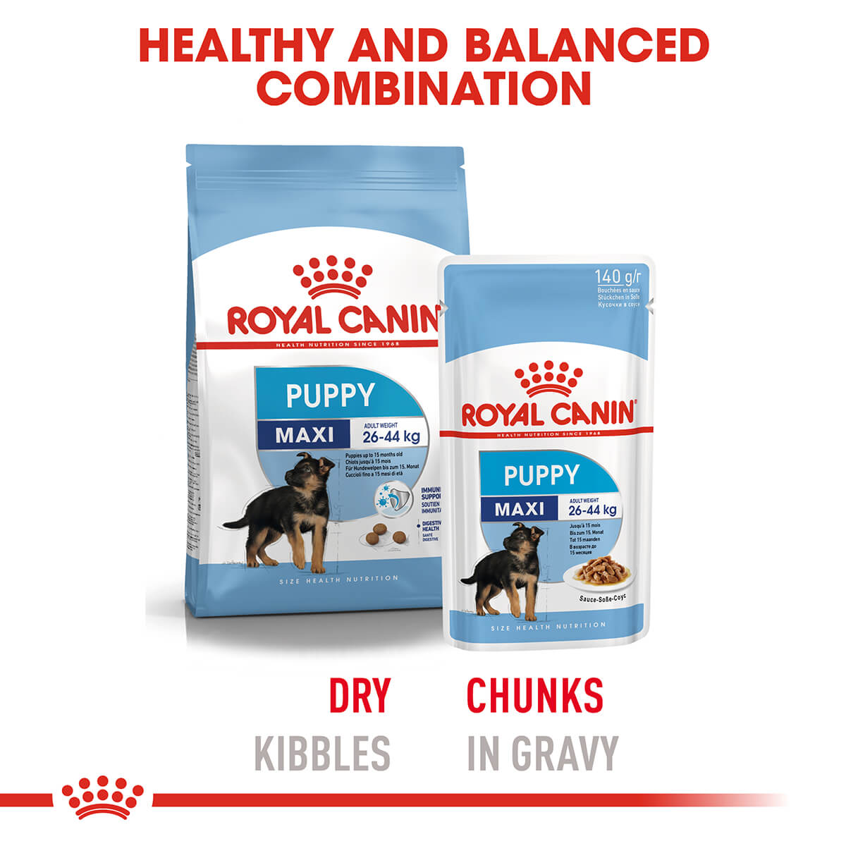 Royal Canin Maxi Puppy Wet Dog Food - PetPost Australia