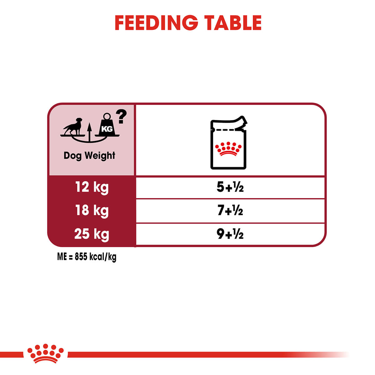 Royal Canin Medium Adult Wet Dog Food - PetPost Australia