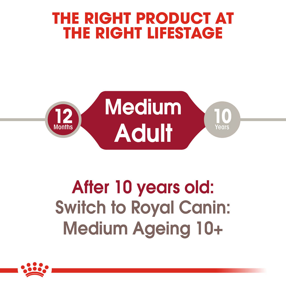 Royal Canin Medium Adult Wet Dog Food - PetPost Australia
