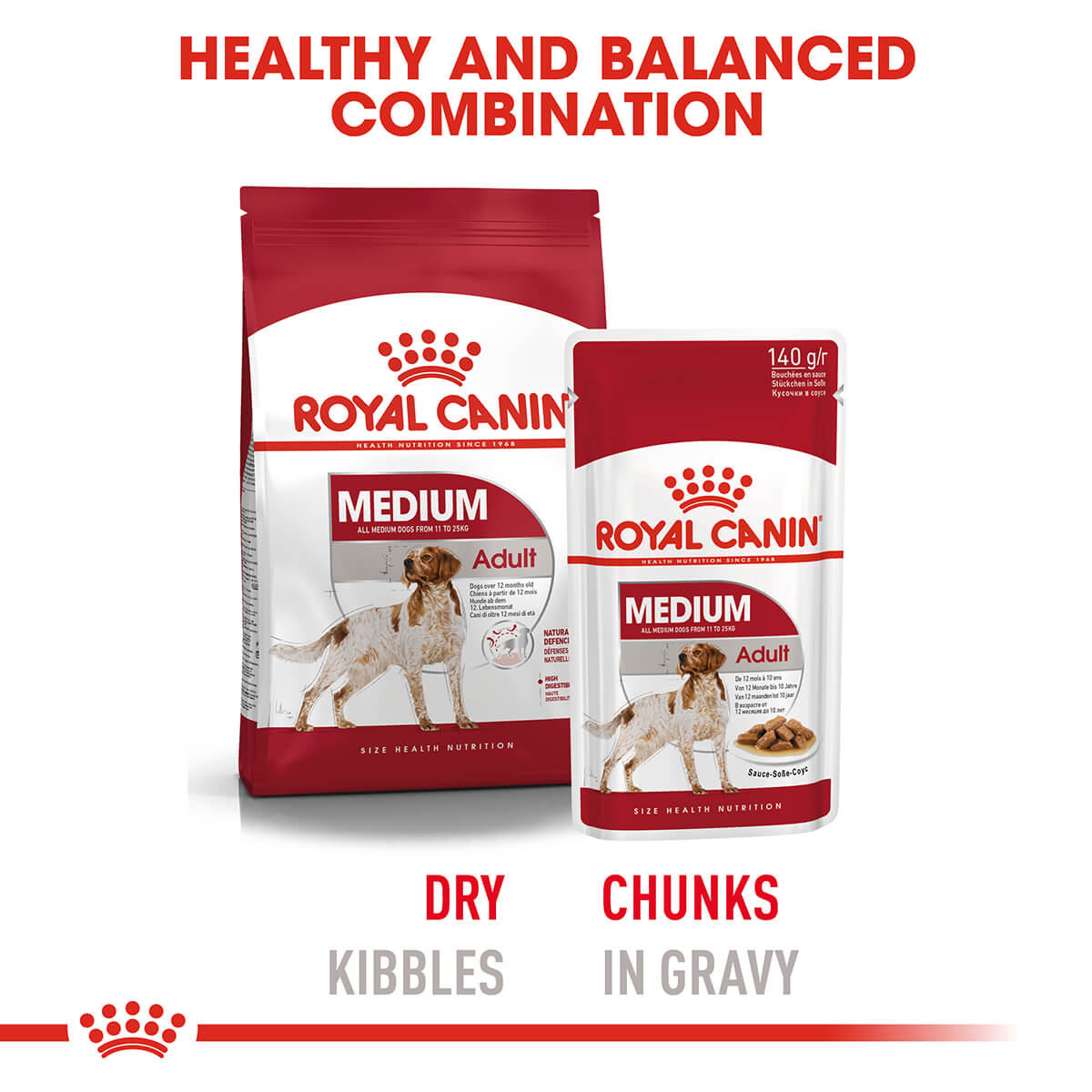 Royal Canin Medium Adult Wet Dog Food - PetPost Australia