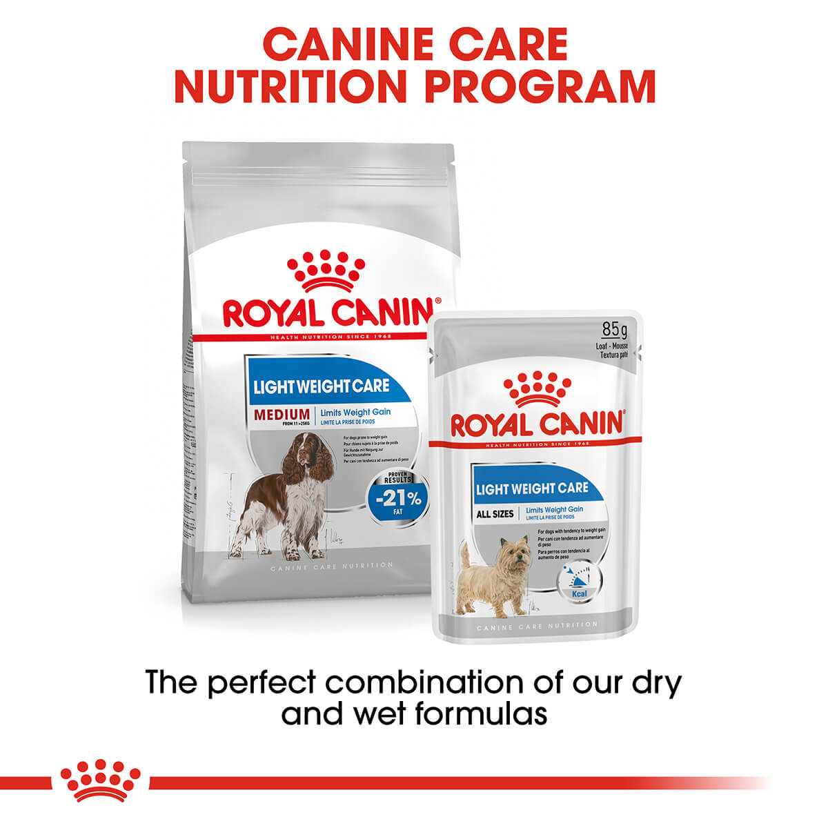 Royal Canin Medium Breed Light Adult Dry Dog Food - PetPost Australia