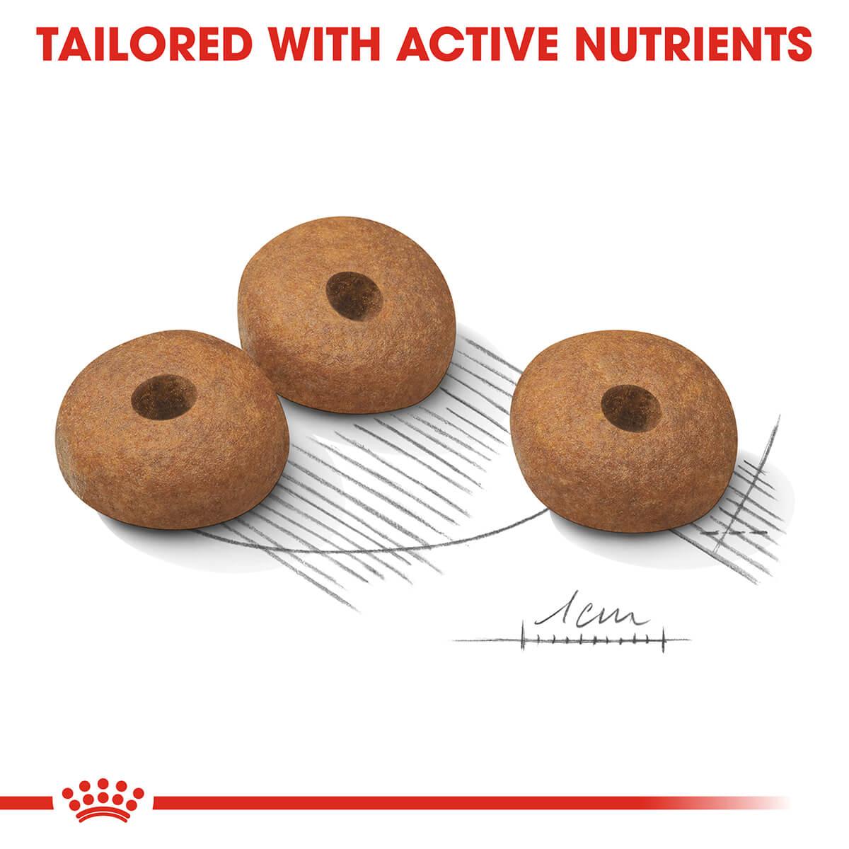Royal Canin Medium Breed Light Adult Dry Dog Food - PetPost Australia