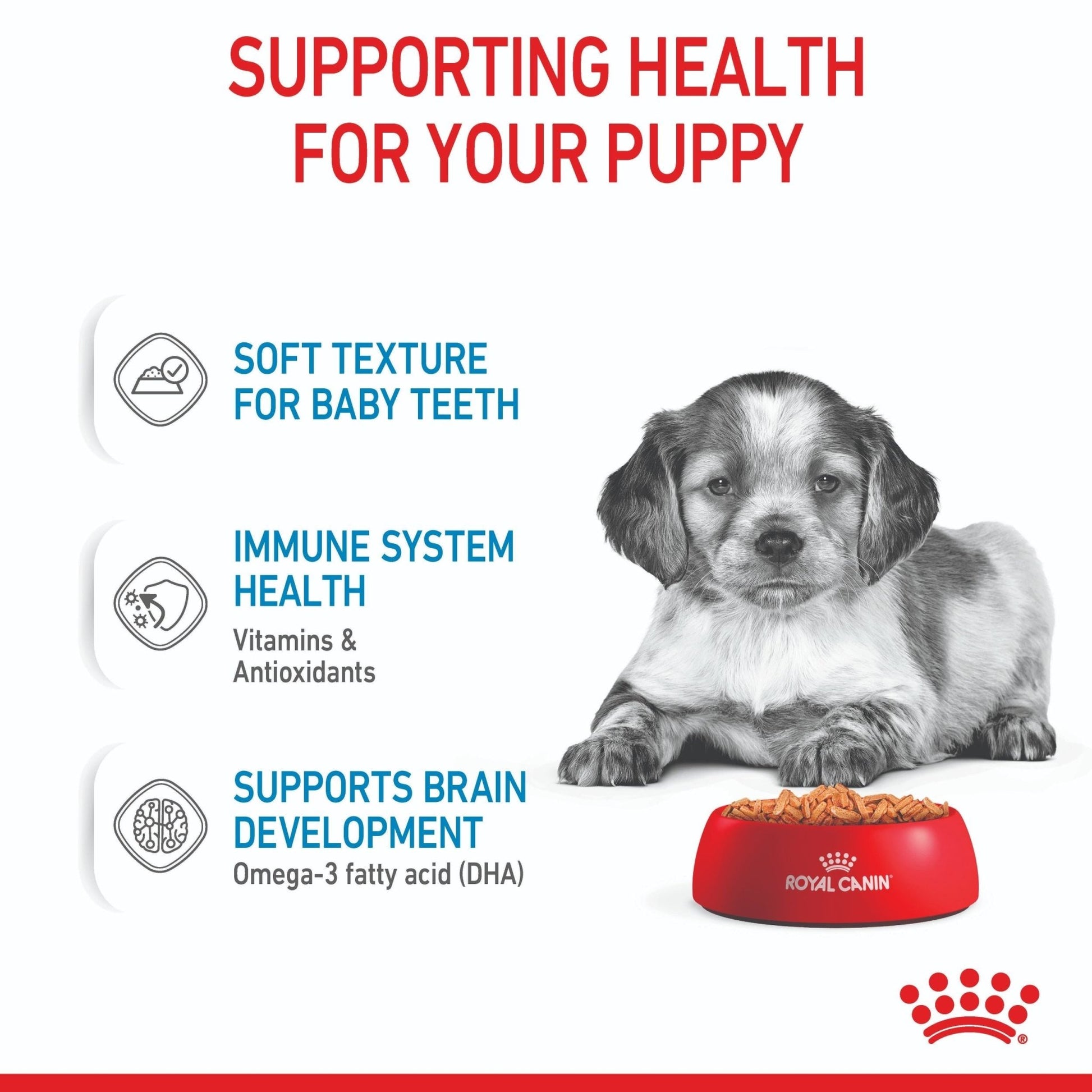 Royal Canin Medium Puppy Wet Dog Food - PetPost Australia