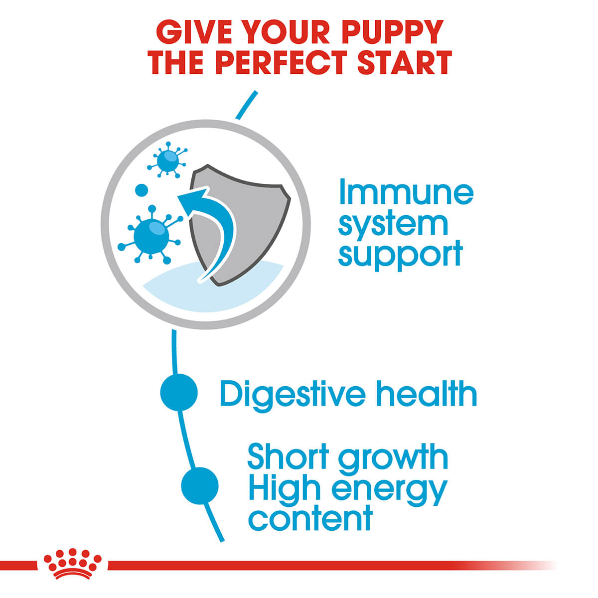 Royal Canin Medium Puppy Wet Dog Food - PetPost Australia