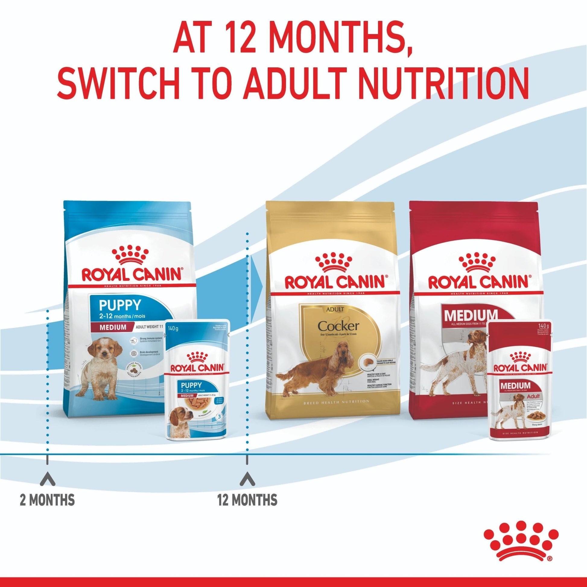 Royal Canin Medium Puppy Wet Dog Food - PetPost Australia