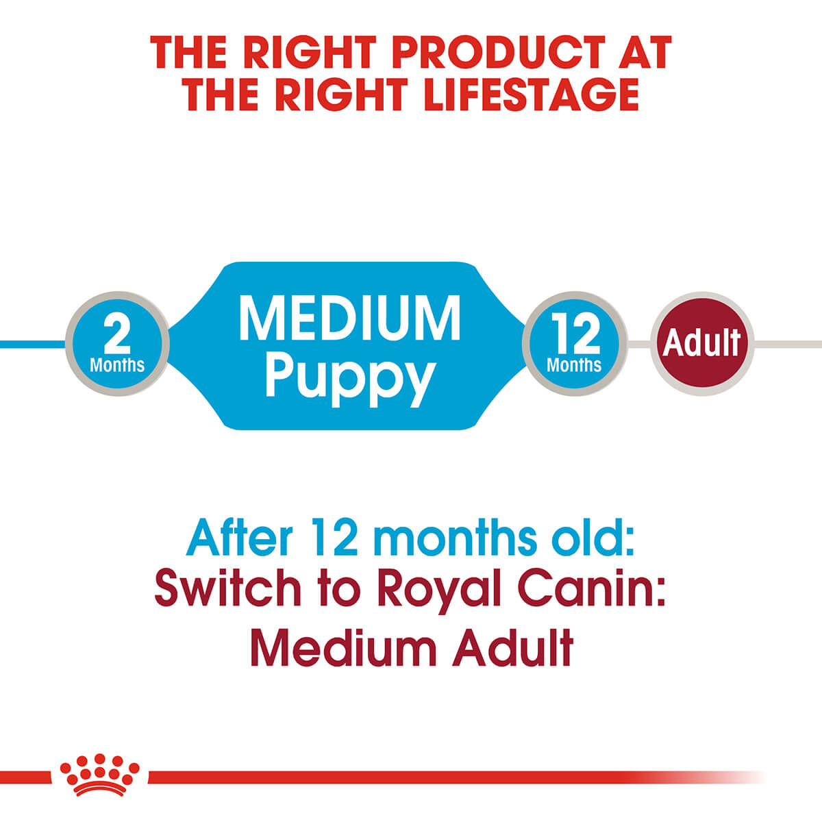 Royal Canin Medium Puppy Wet Dog Food - PetPost Australia
