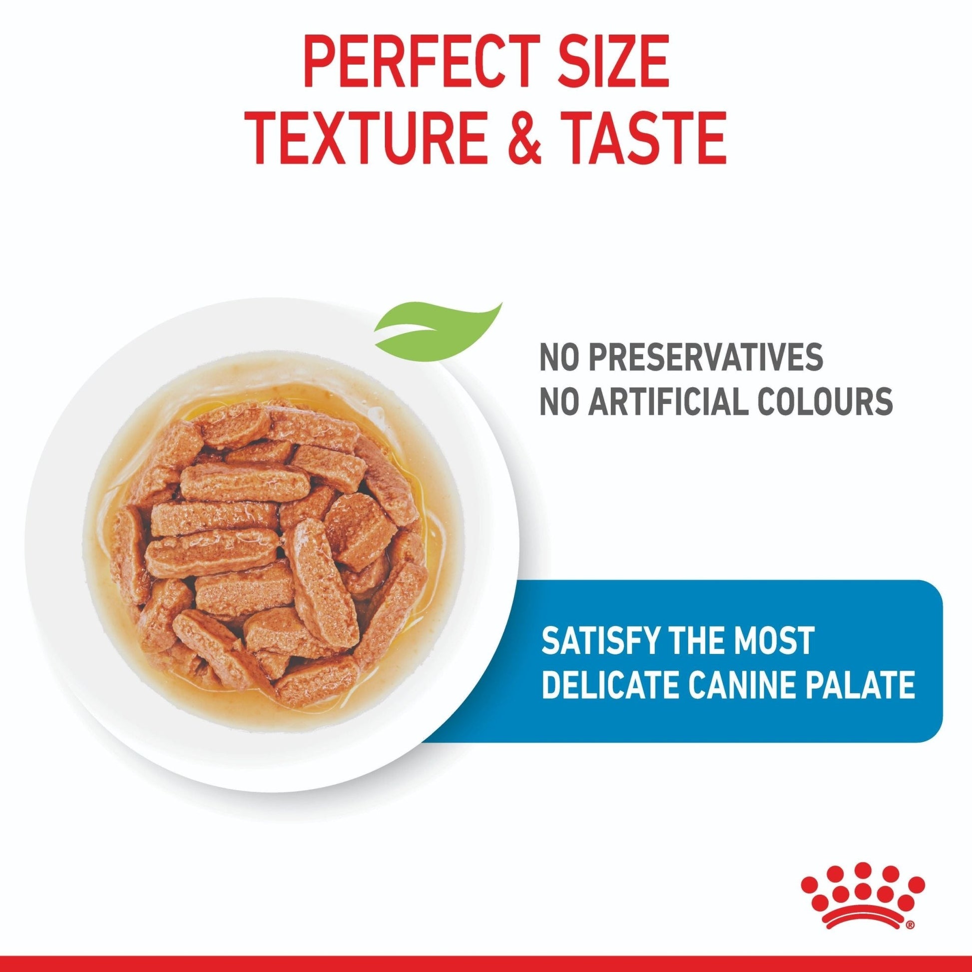 Royal Canin Medium Puppy Wet Dog Food - PetPost Australia