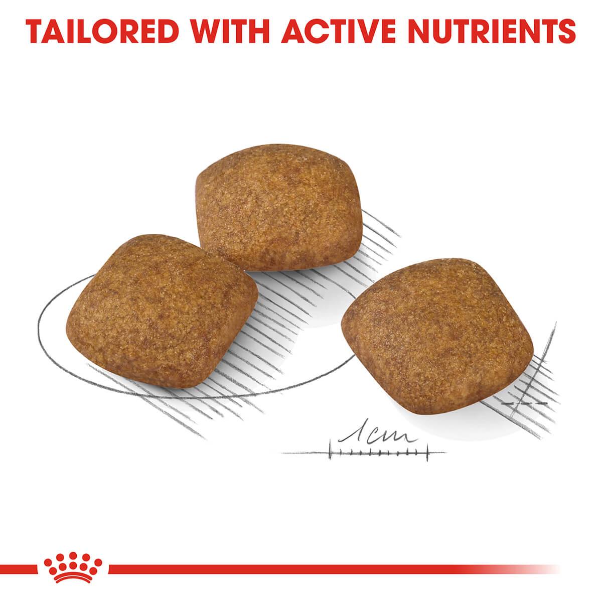 Royal Canin Medium Relax Care Adult Dry Dog Food - PetPost Australia