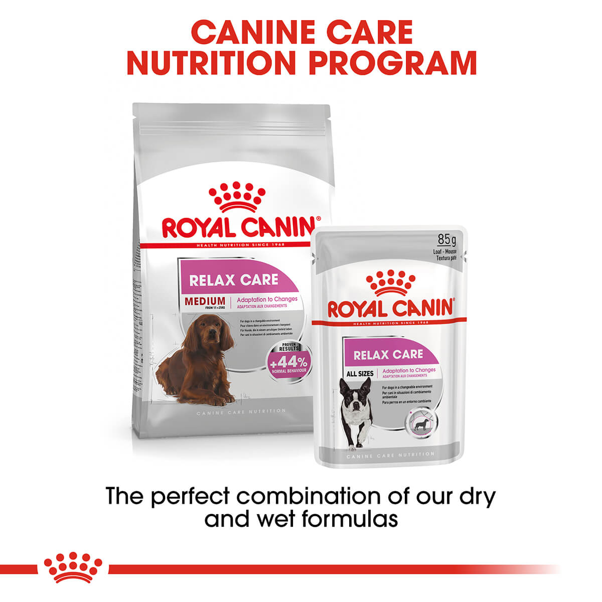 Royal Canin Medium Relax Care Adult Dry Dog Food - PetPost Australia
