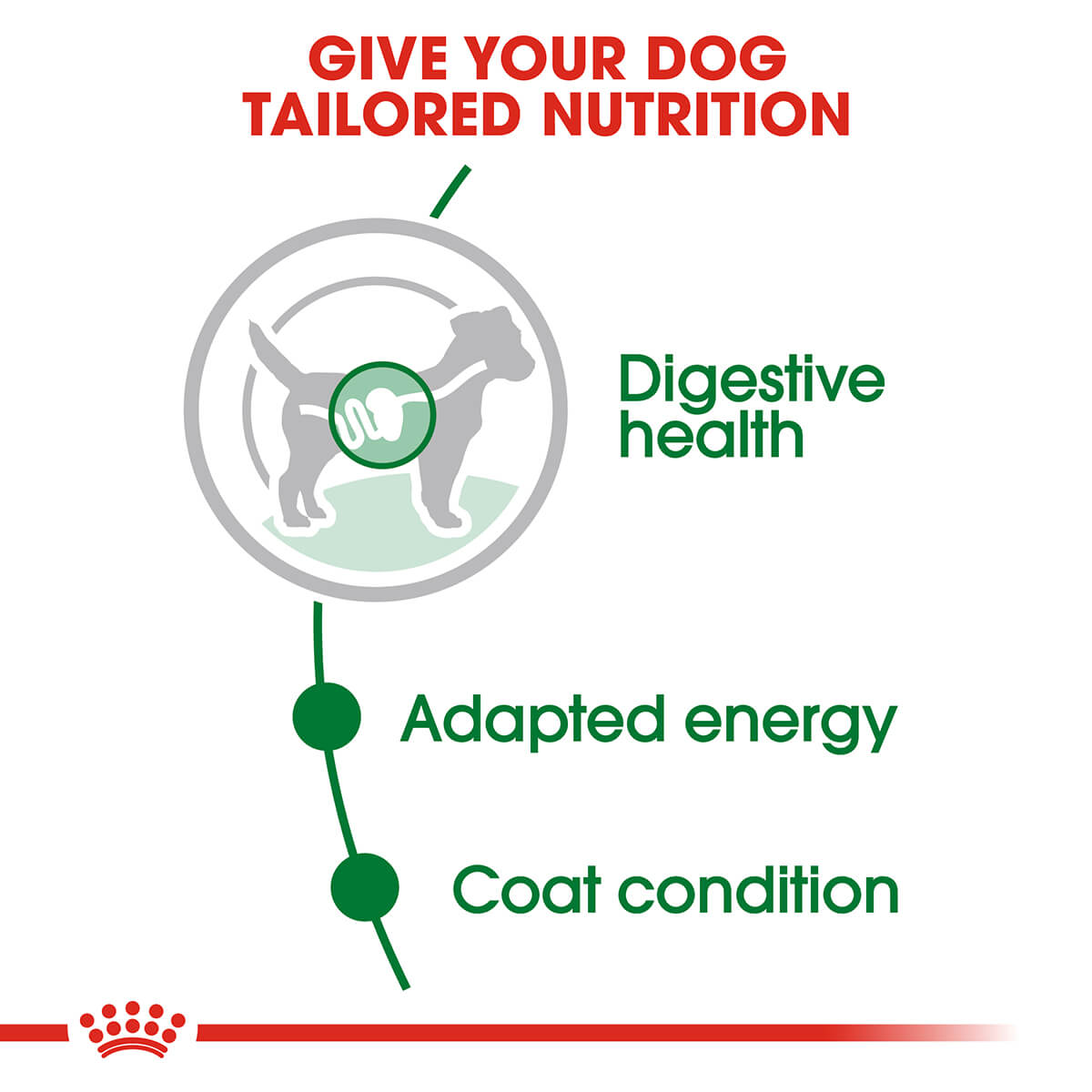 Royal Canin Mini Adult Wet Dog Food - PetPost Australia