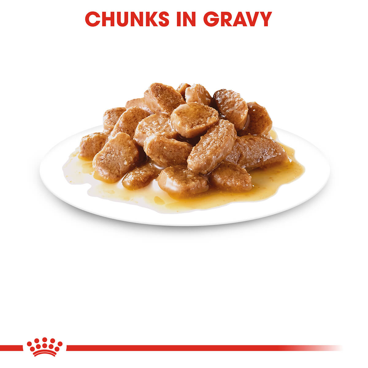 Royal Canin Mini Adult Wet Dog Food - PetPost Australia