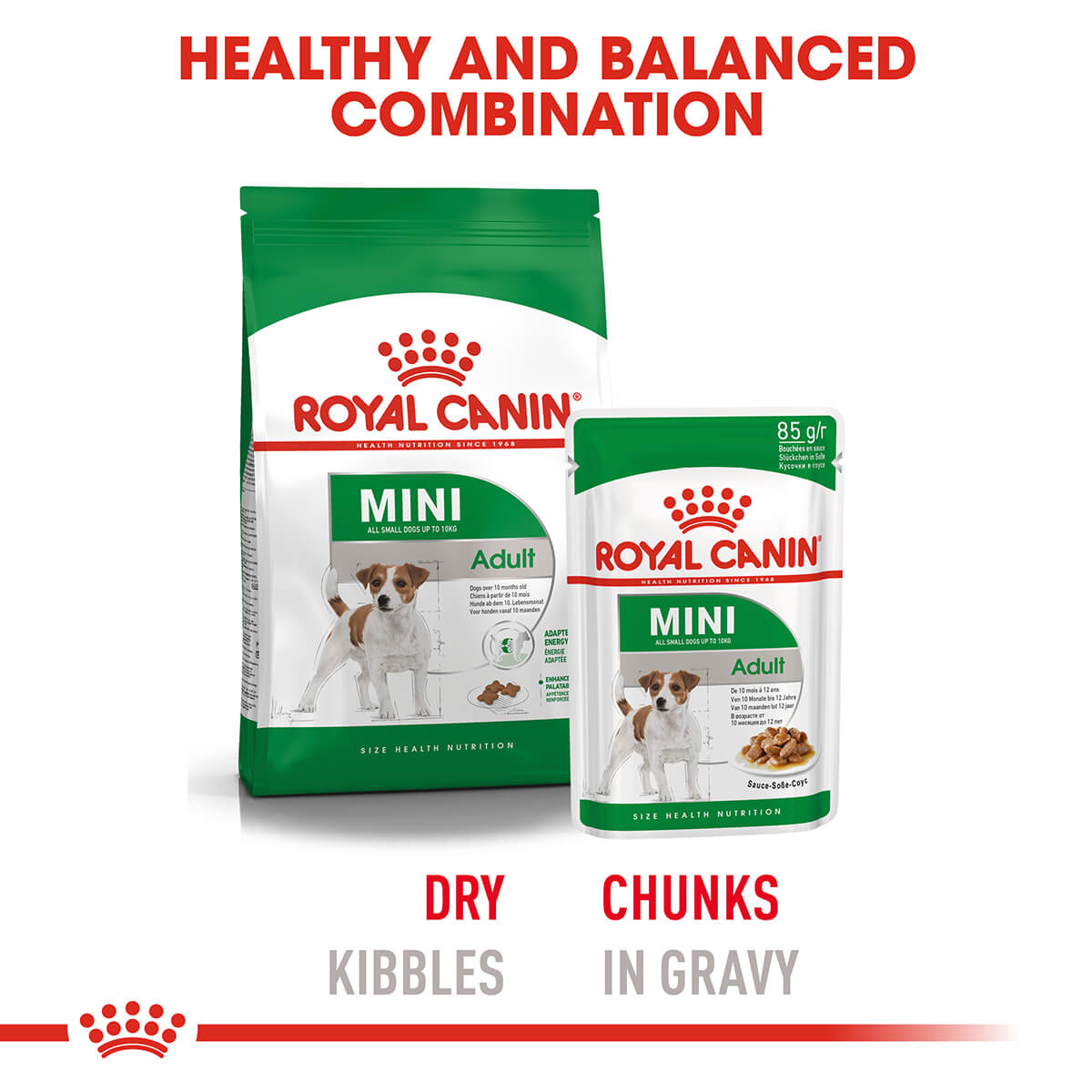 Royal Canin Mini Adult Wet Dog Food - PetPost Australia