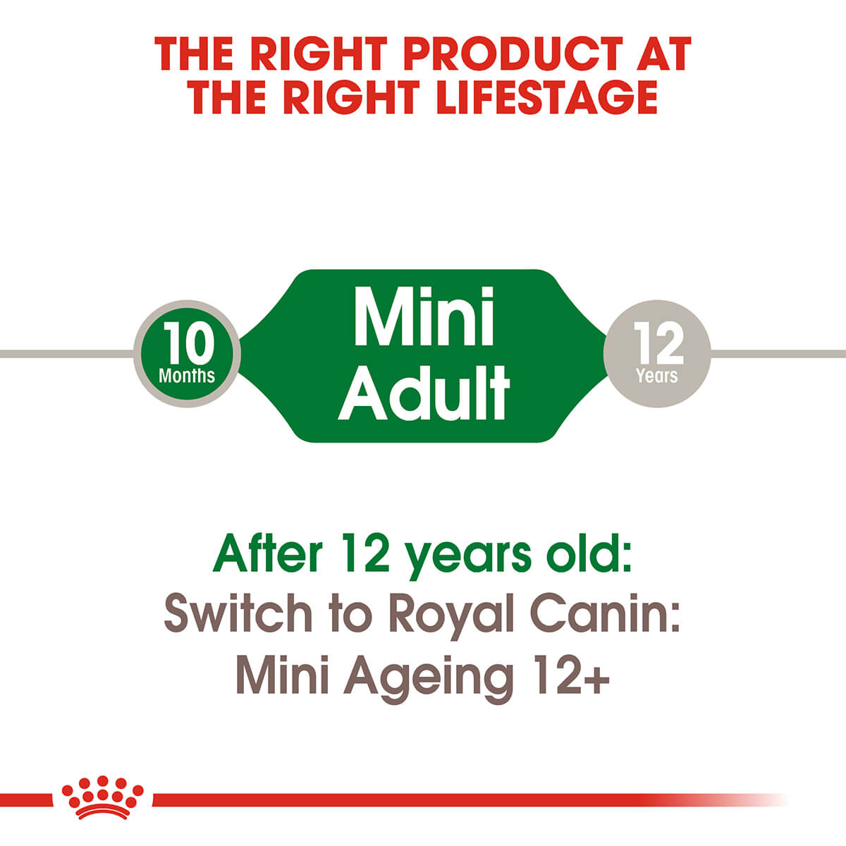 Royal Canin Mini Adult Wet Dog Food - PetPost Australia