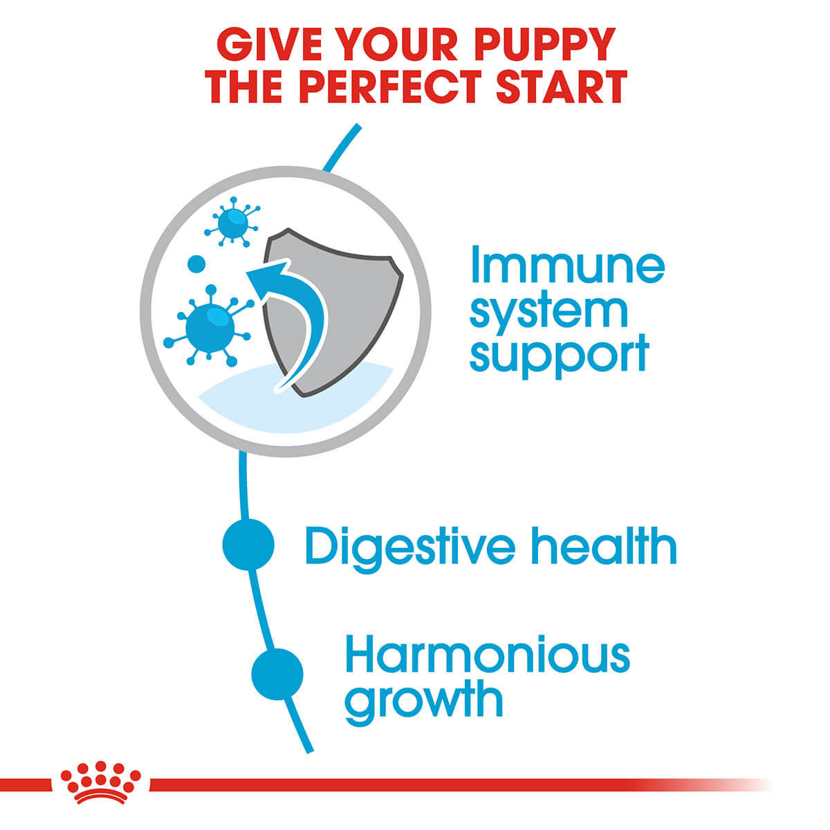 Royal Canin Mini Breed Puppy Dry Dog Food - PetPost Australia