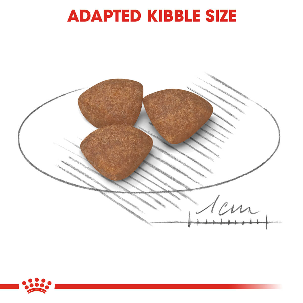 Royal Canin Mini Breed Puppy Dry Dog Food - PetPost Australia