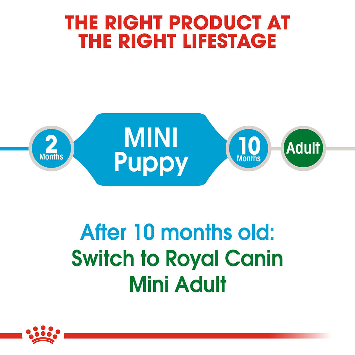 Royal Canin Mini Breed Puppy Dry Dog Food - PetPost Australia