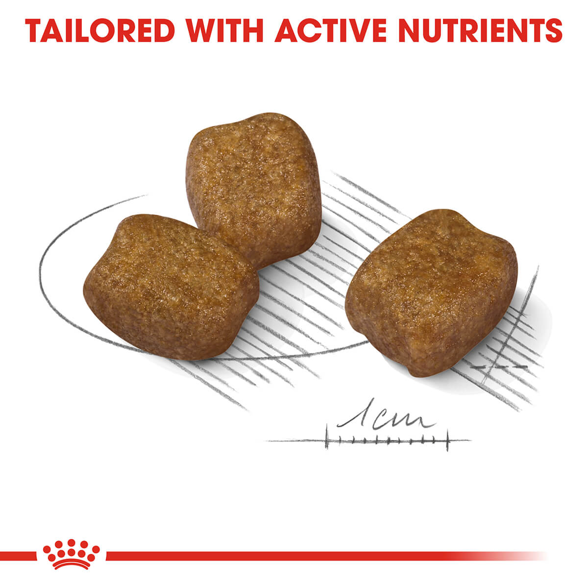 Royal Canin Mini Dental Care Adult Dry Dog Food - PetPost Australia