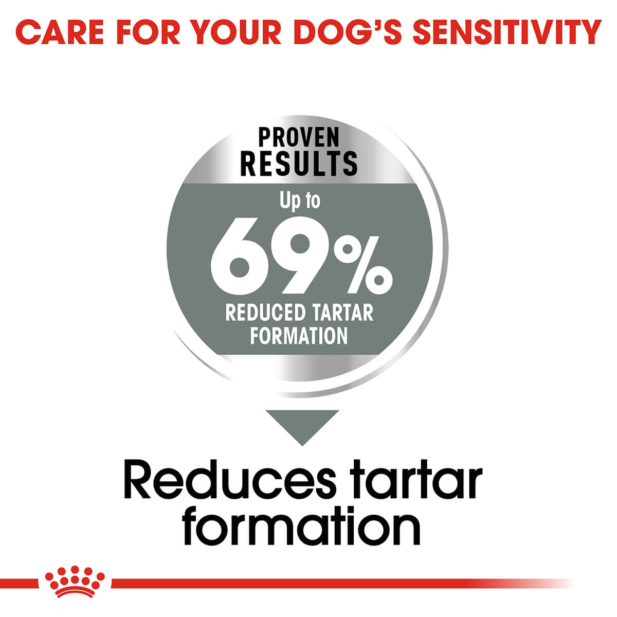 Royal Canin Mini Dental Care Adult Dry Dog Food - PetPost Australia