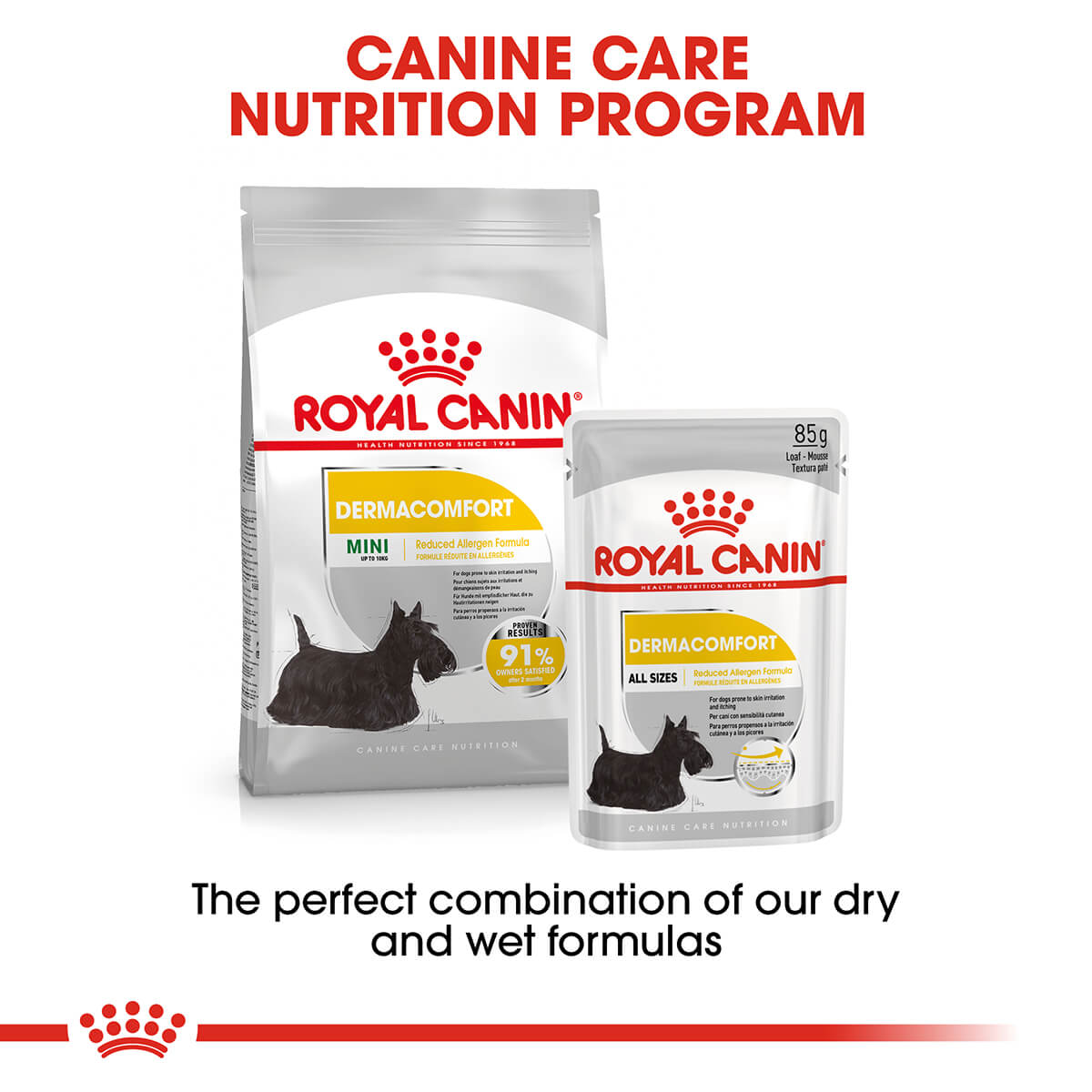 Royal Canin Mini Dermacomfort Adult Dry Dog Food - PetPost Australia