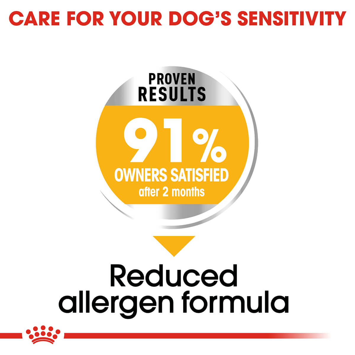 Royal Canin Mini Dermacomfort Adult Dry Dog Food - PetPost Australia