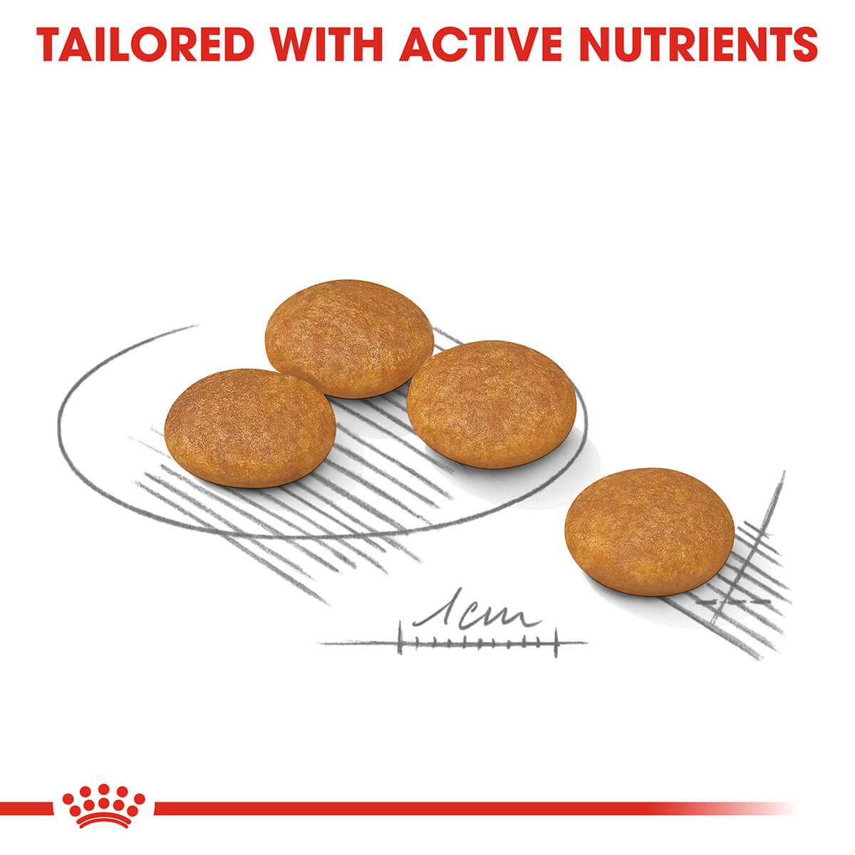 Royal Canin Mini Dermacomfort Adult Dry Dog Food - PetPost Australia