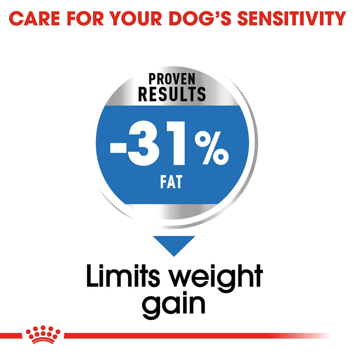 Royal Canin Mini Light Weight Care Adult Dry Dog Food - PetPost Australia