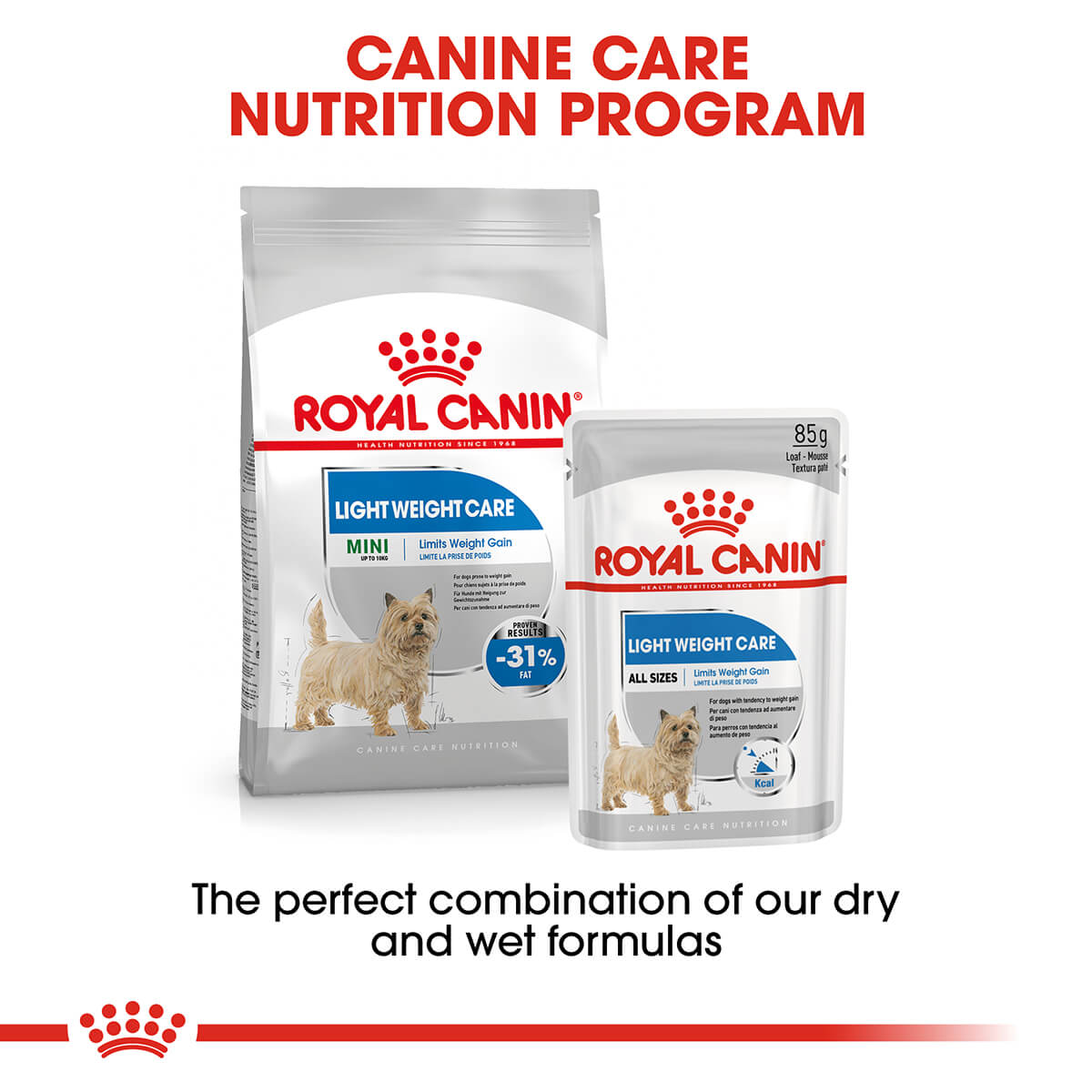 Royal Canin Mini Light Weight Care Adult Dry Dog Food - PetPost Australia