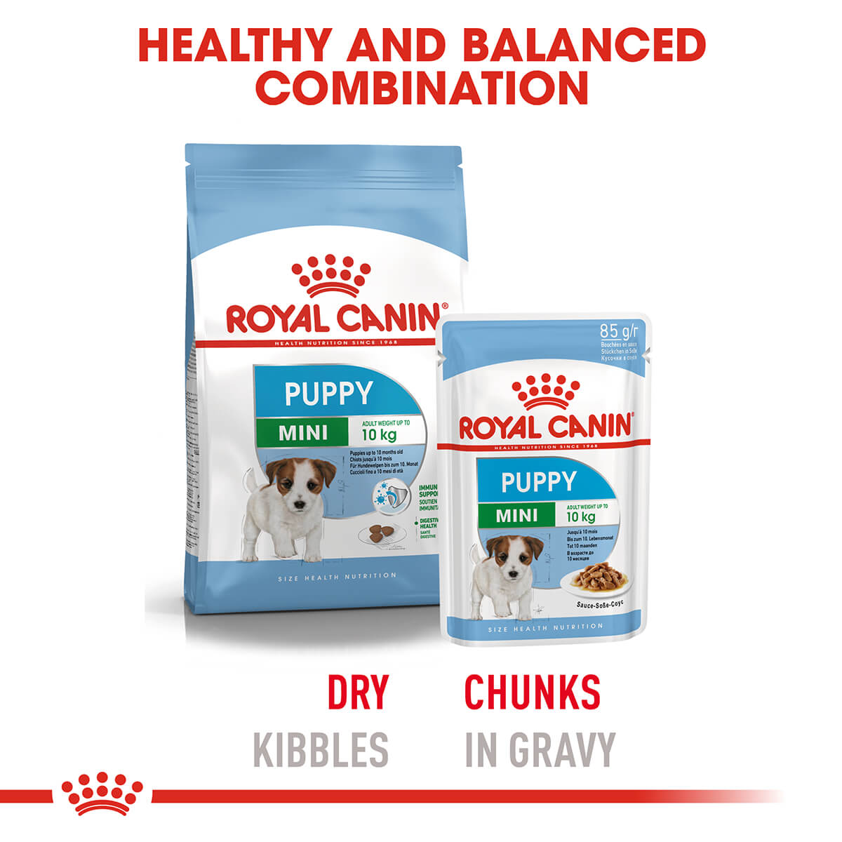 Royal Canin Mini Puppy Wet Dog Food - PetPost Australia