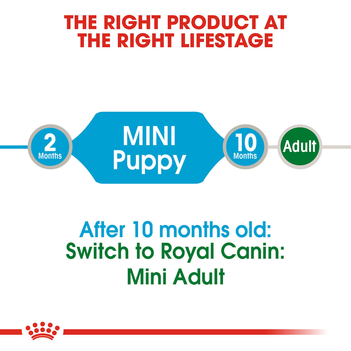 Royal Canin Mini Puppy Wet Dog Food - PetPost Australia