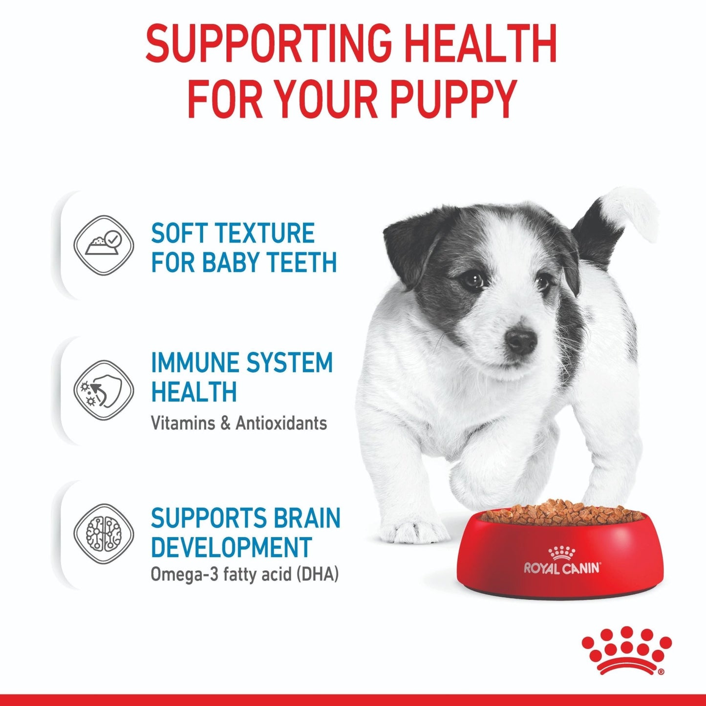 Royal Canin Mini Puppy Wet Dog Food - PetPost Australia