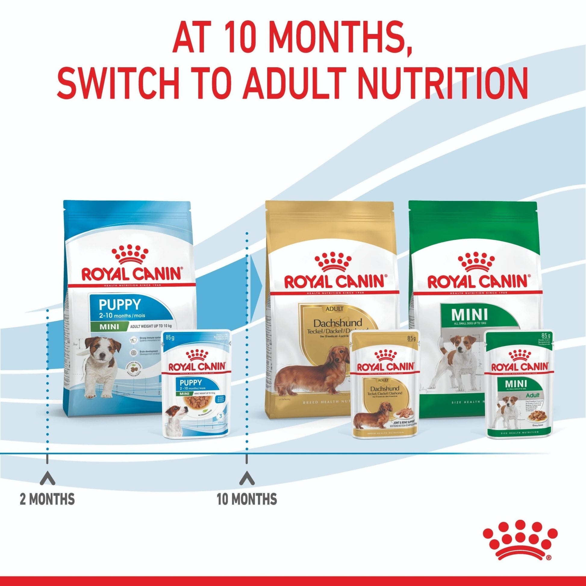 Royal Canin Mini Puppy Wet Dog Food - PetPost Australia