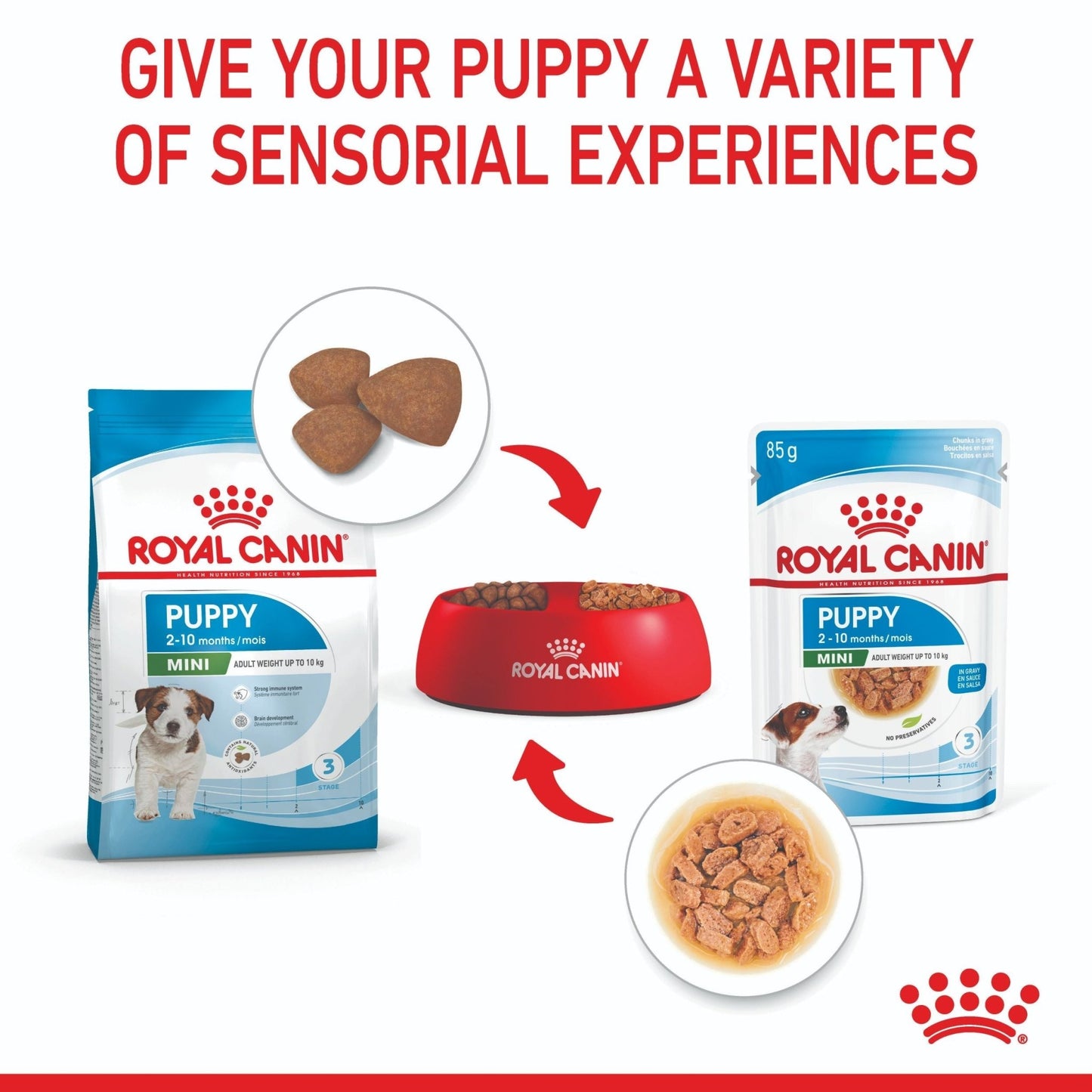 Royal Canin Mini Puppy Wet Dog Food - PetPost Australia