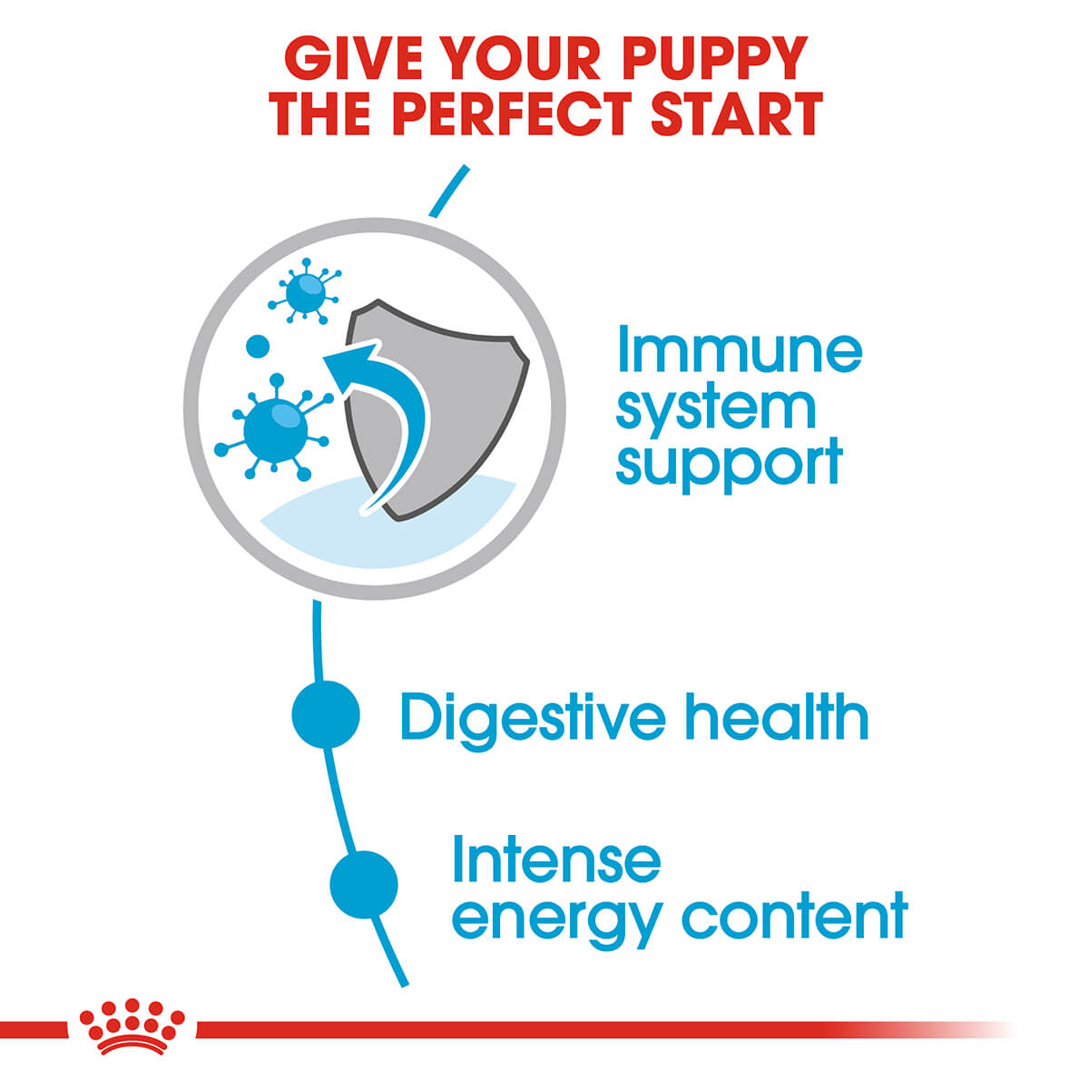 Royal Canin Mini Puppy Wet Dog Food - PetPost Australia