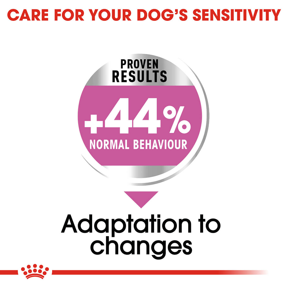 Royal Canin Mini Relax Care Adult Dry Dog Food - PetPost Australia