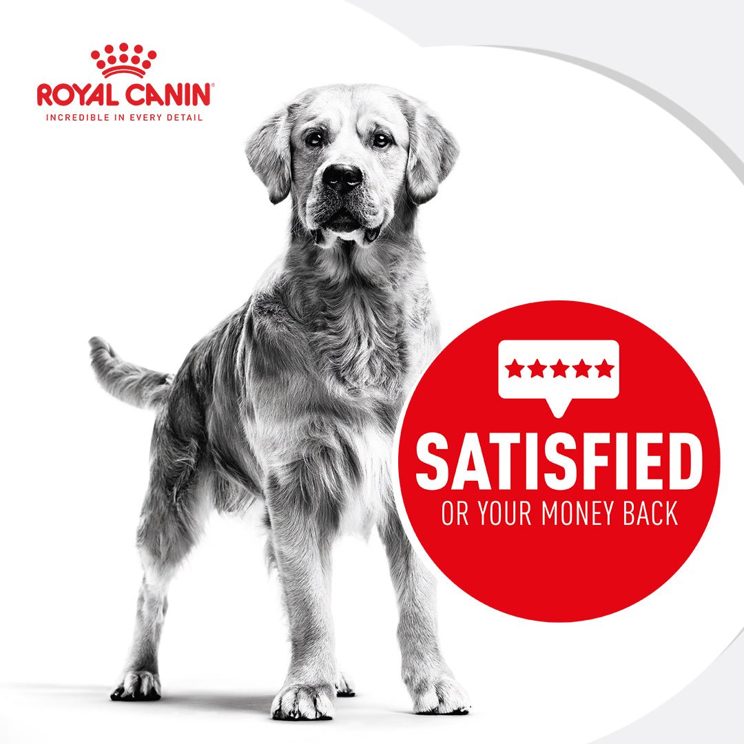 Royal Canin Mini Relax Care Adult Dry Dog Food - PetPost Australia