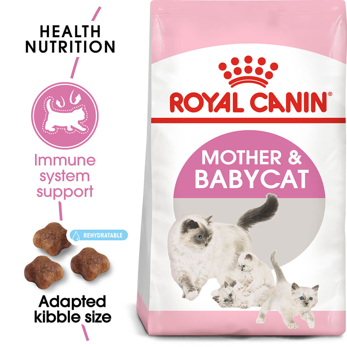 Royal Canin Mother And Baby Cat Kitten Dry Cat Food - PetPost Australia