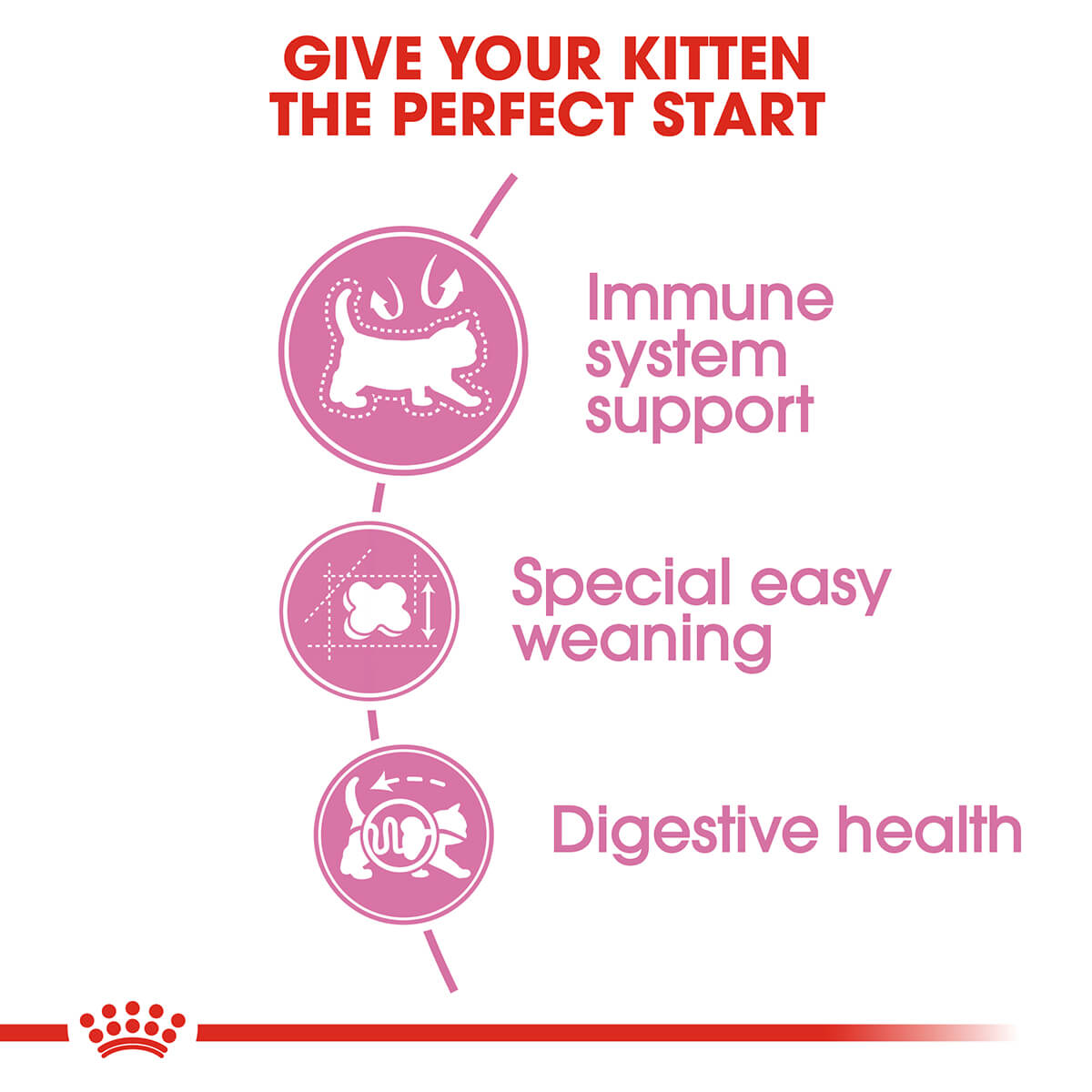 Royal Canin Mother And Baby Cat Kitten Dry Cat Food - PetPost Australia