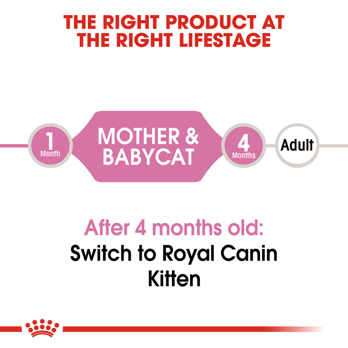 Royal Canin Mother And Baby Cat Kitten Dry Cat Food - PetPost Australia
