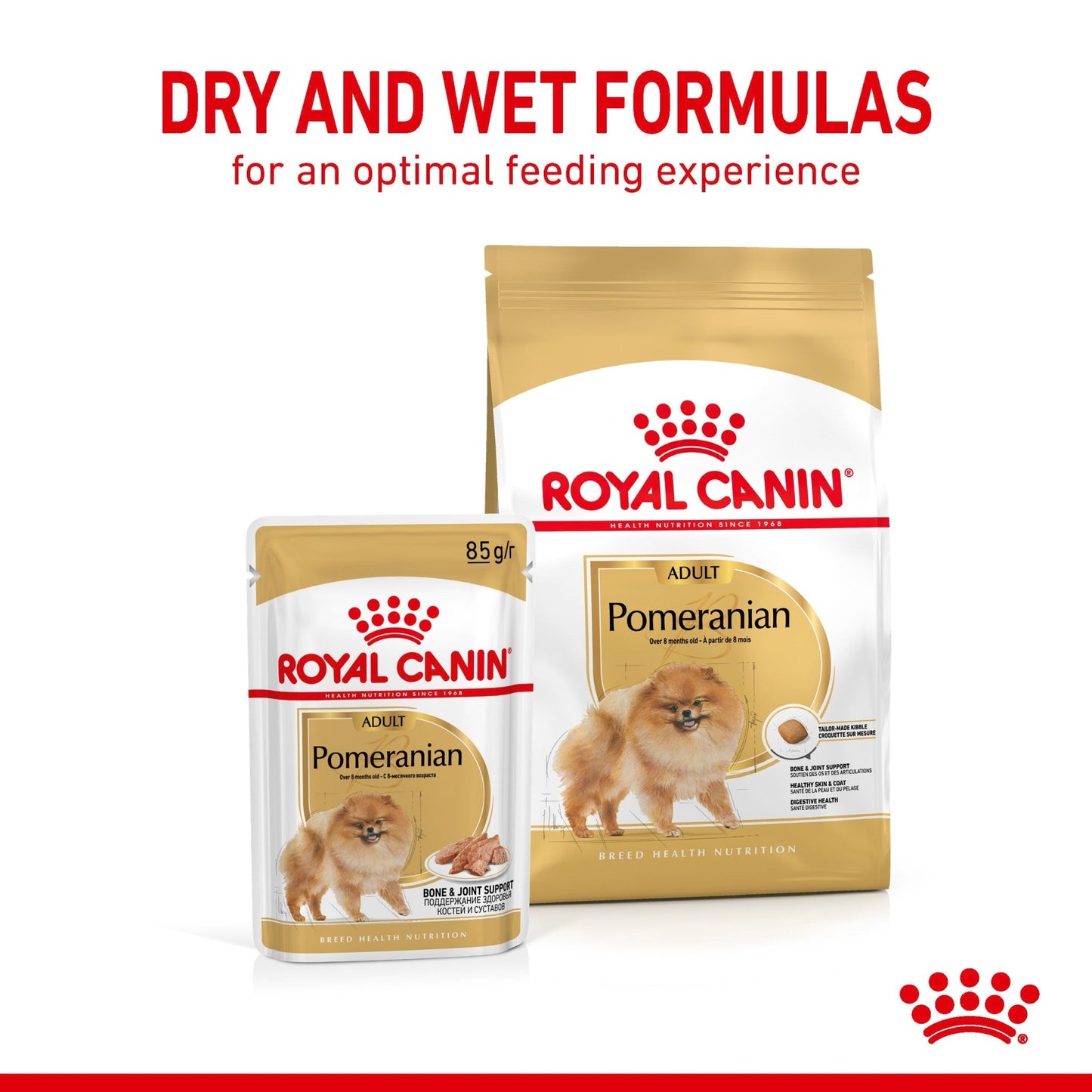 Royal Canin Pomeranian Wet Dog Food - PetPost Australia